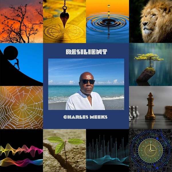 Cover art for Resilient